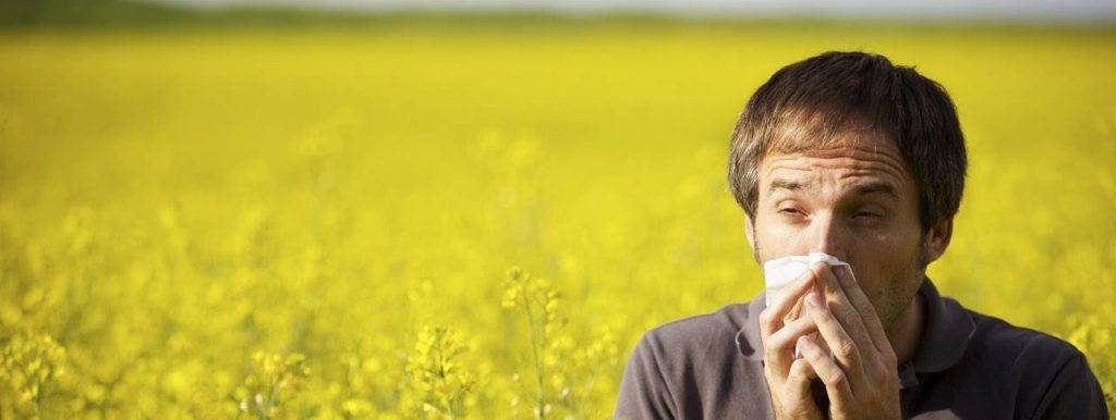 allergy-rape-seed-field-male-sneeze-e1548153024239-1024x386-1
