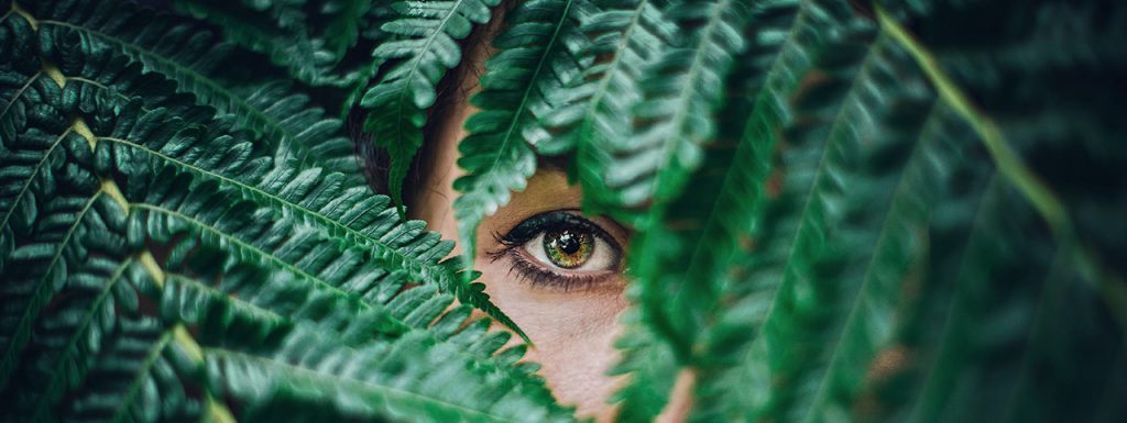 eye-peeking-from-fern_1280x480-1024x385-1