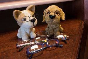 glassesondogs